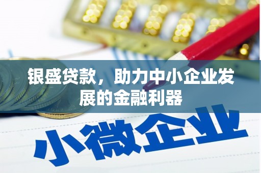 九龙银盛贷款，助力中小企业发展的金融利器