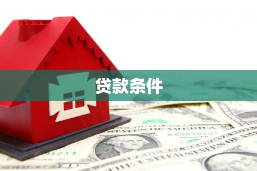 九龙贷款条件
