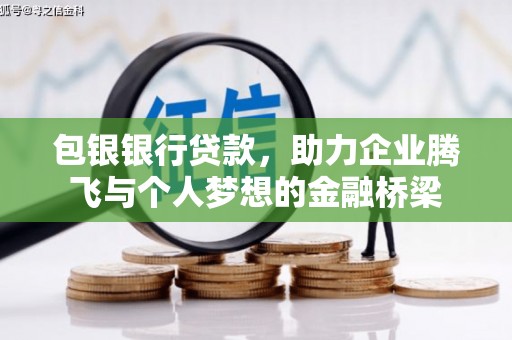 九龙包银银行贷款，助力企业腾飞与个人梦想的金融桥梁