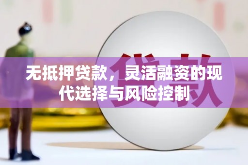 九龙无抵押贷款，灵活融资的现代选择与风险控制