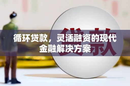 九龙循环贷款，灵活融资的现代金融解决方案