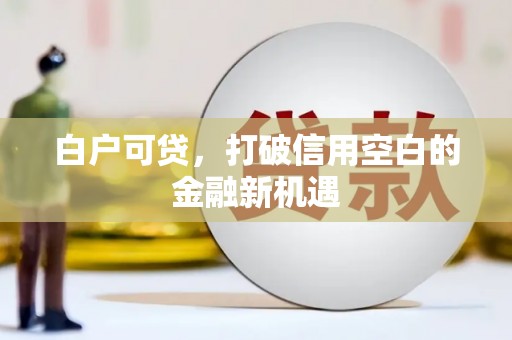 九龙白户可贷，打破信用空白的金融新机遇