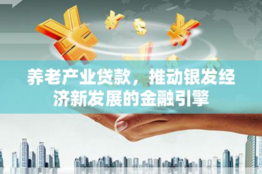九龙养老产业贷款，推动银发经济新发展的金融引擎