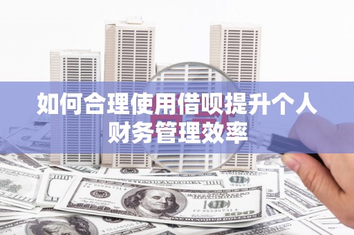 九龙如何合理使用借呗提升个人财务管理效率