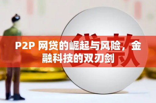 九龙P2P 网贷的崛起与风险，金融科技的双刃剑