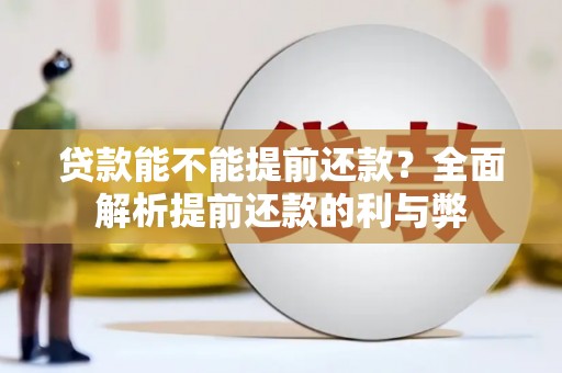 九龙贷款能不能提前还款？全面解析提前还款的利与弊
