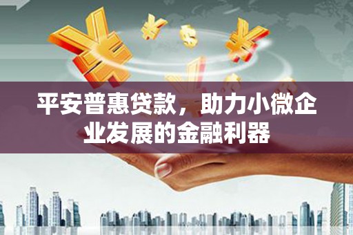 九龙平安普惠贷款，助力小微企业发展的金融利器