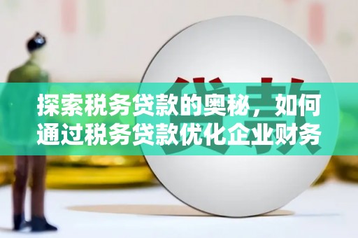 九龙探索税务贷款的奥秘，如何通过税务贷款优化企业财务