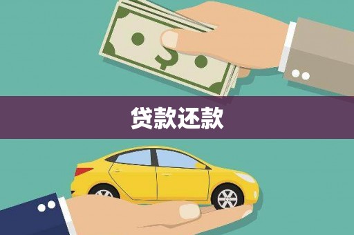 九龙贷款还款