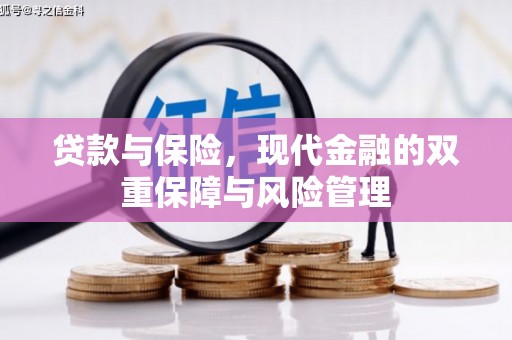 九龙贷款与保险，现代金融的双重保障与风险管理