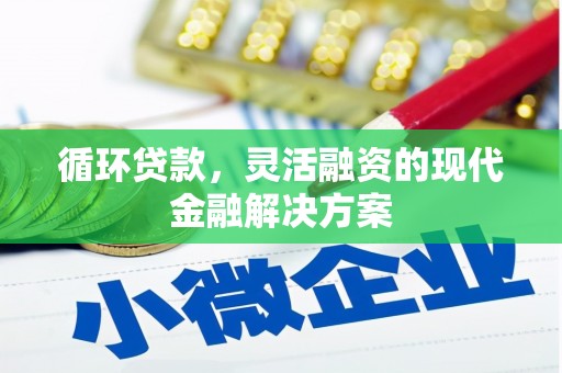 九龙循环贷款，灵活融资的现代金融解决方案