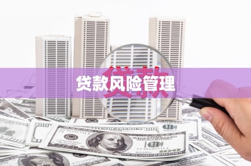 九龙贷款风险管理
