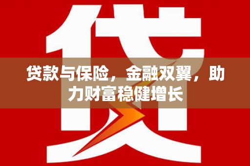 九龙贷款与保险，金融双翼，助力财富稳健增长