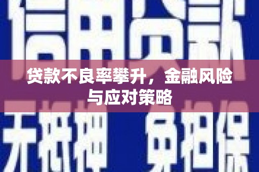 九龙贷款不良率攀升，金融风险与应对策略