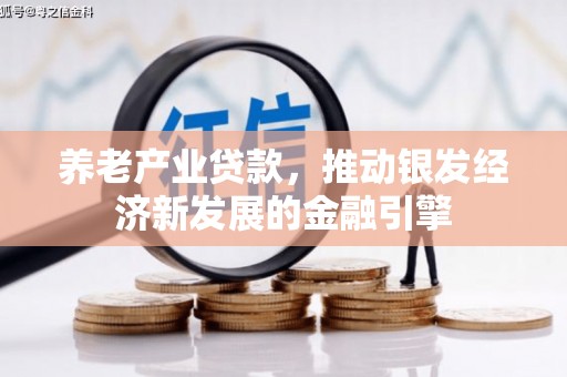 九龙养老产业贷款，推动银发经济新发展的金融引擎