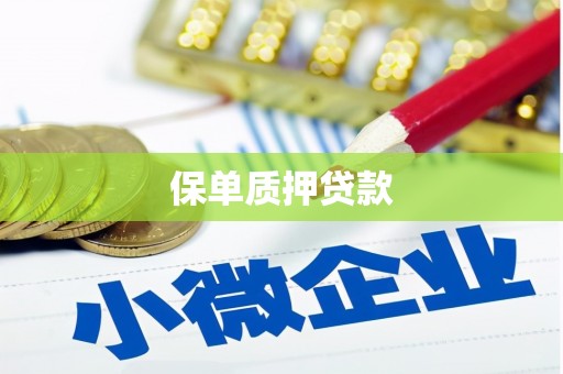 九龙保单质押贷款