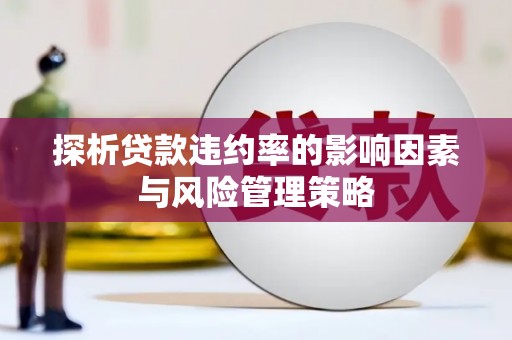 九龙探析贷款违约率的影响因素与风险管理策略