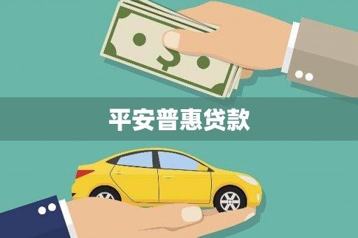 九龙平安普惠贷款