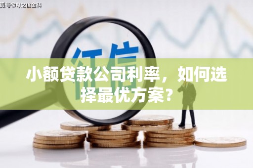 九龙小额贷款公司利率，如何选择最优方案？