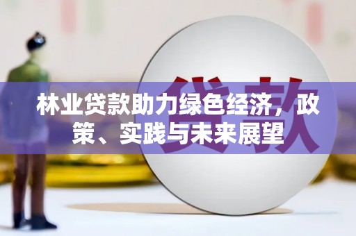 九龙林业贷款助力绿色经济，政策、实践与未来展望