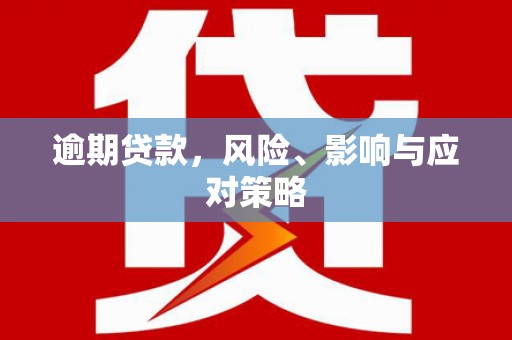九龙逾期贷款，风险、影响与应对策略