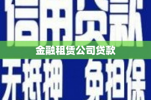 九龙金融租赁公司贷款