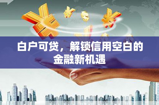 九龙白户可贷，解锁信用空白的金融新机遇