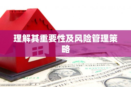 九龙理解其重要性及风险管理策略