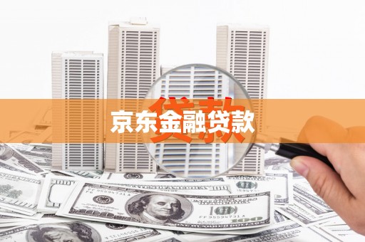 九龙京东金融贷款