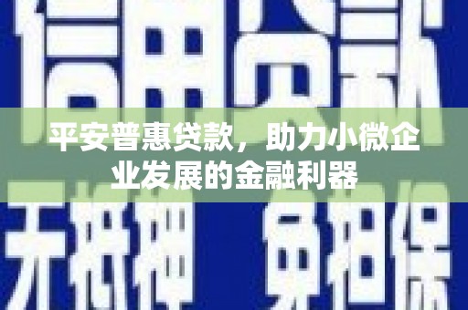 九龙平安普惠贷款，助力小微企业发展的金融利器