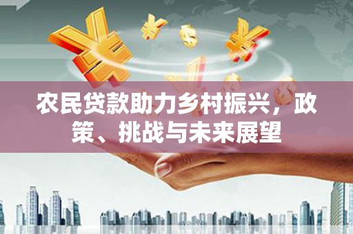 九龙农民贷款助力乡村振兴，政策、挑战与未来展望