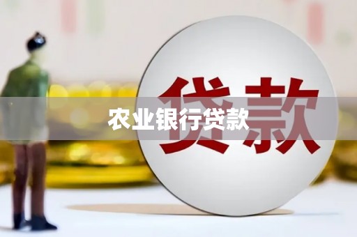 九龙农业银行贷款