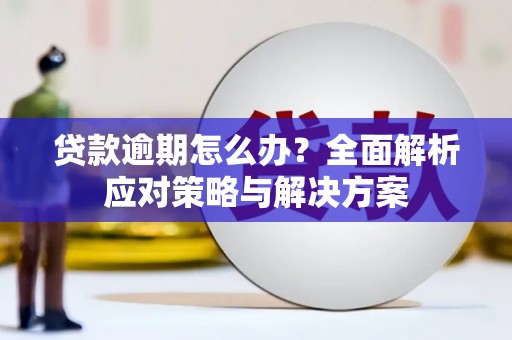九龙贷款逾期怎么办？全面解析应对策略与解决方案