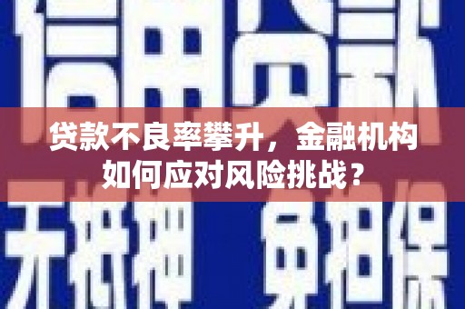 九龙贷款不良率攀升，金融机构如何应对风险挑战？