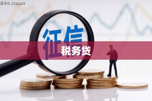 九龙税务贷