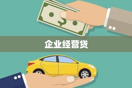 九龙企业经营贷