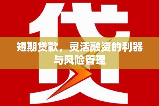 九龙短期贷款，灵活融资的利器与风险管理