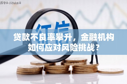 九龙贷款不良率攀升，金融机构如何应对风险挑战？