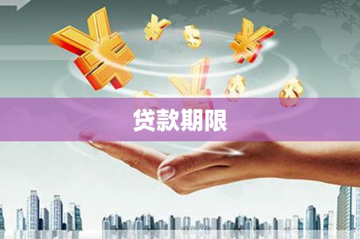 九龙贷款期限