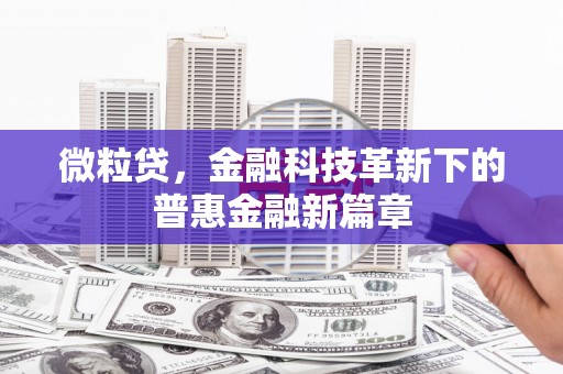 九龙微粒贷，金融科技革新下的普惠金融新篇章