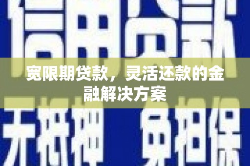 九龙宽限期贷款，灵活还款的金融解决方案