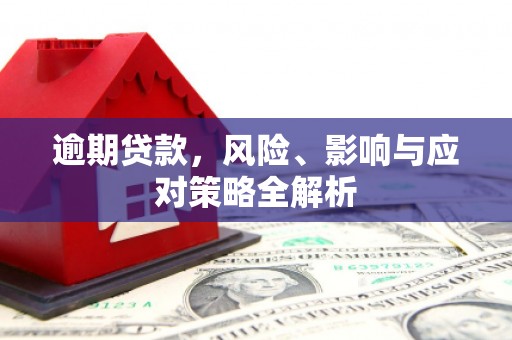 九龙逾期贷款，风险、影响与应对策略全解析