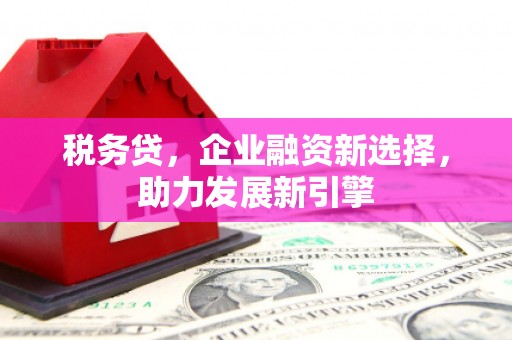 九龙税务贷，企业融资新选择，助力发展新引擎