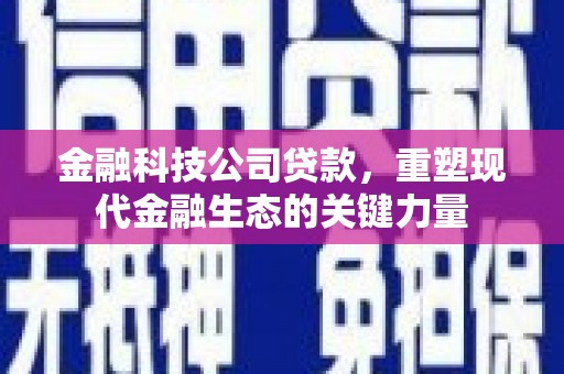 九龙金融科技公司贷款，重塑现代金融生态的关键力量