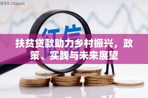 九龙扶贫贷款助力乡村振兴，政策、实践与未来展望