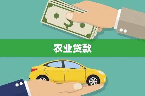 九龙农业贷款