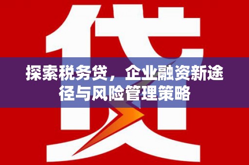 九龙探索税务贷，企业融资新途径与风险管理策略