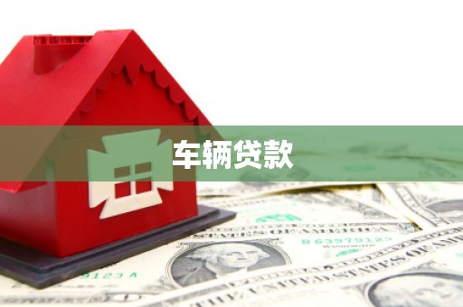 九龙车辆贷款