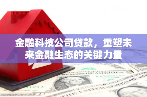 九龙金融科技公司贷款，重塑未来金融生态的关键力量