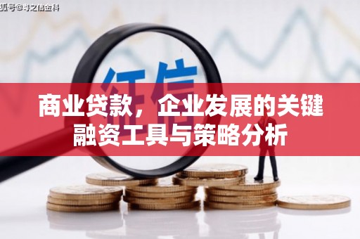 九龙商业贷款，企业发展的关键融资工具与策略分析